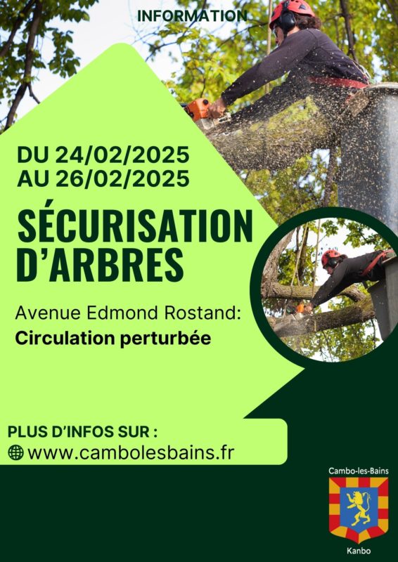 Affiche Abattage Arbres (1)